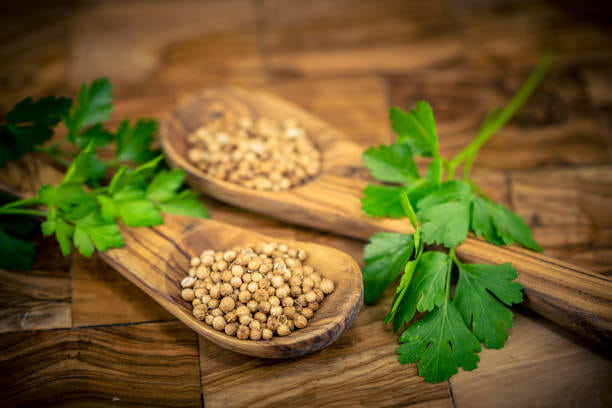 تصویر 2 از خرید و فروش تخم گشنیز خوب با شرایط فوق العاده